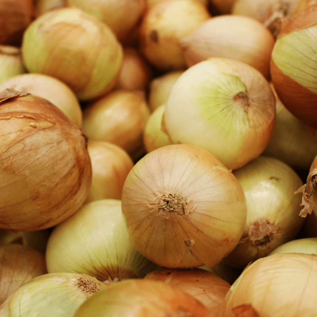 Cebula 1 kg